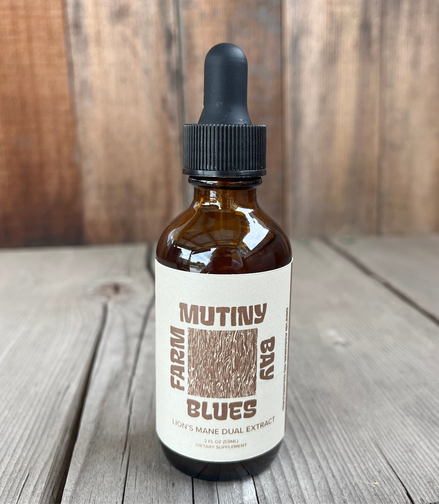 Lion's Mane Tincture