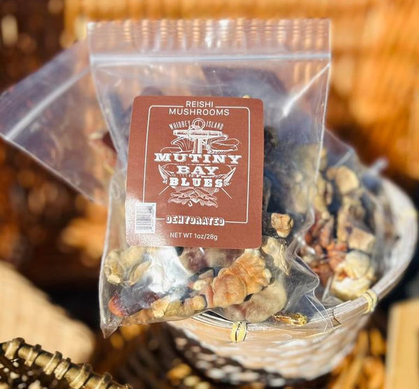 Dried Reishi Mushrooms