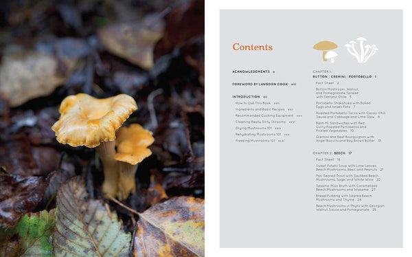 Shroom by Becky  Selengut