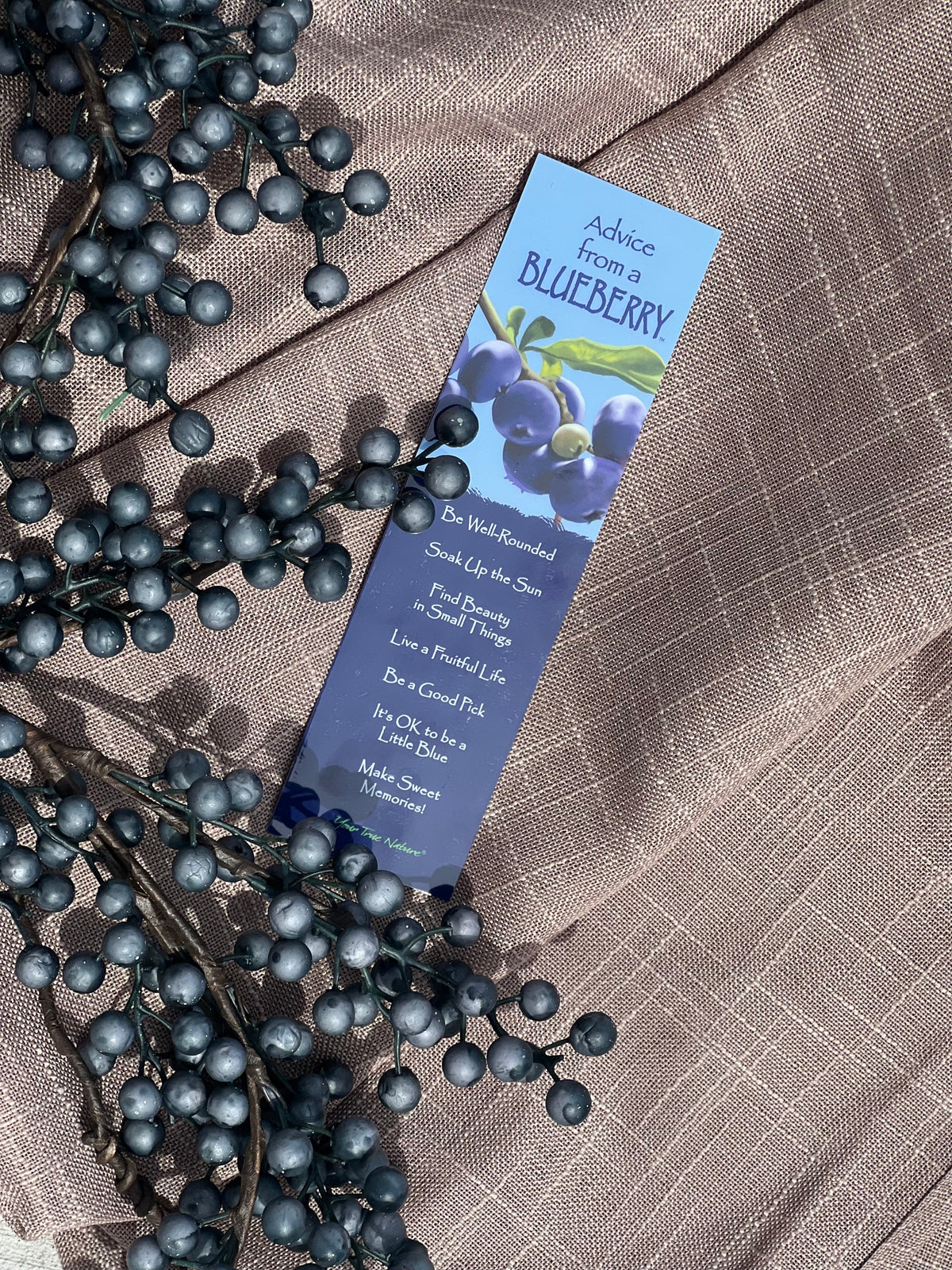 Blueberry Bookmark – Mutiny Bay Blues